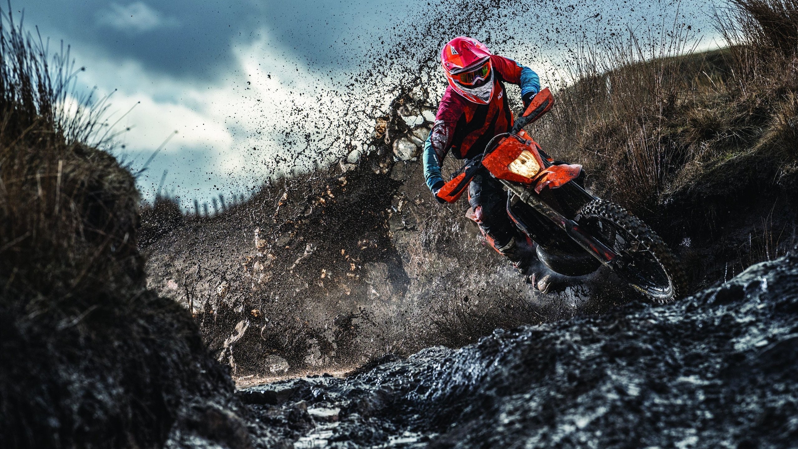 冠军背后：领袖球员的拼搏岁月，冠军的背后是强大的体魄