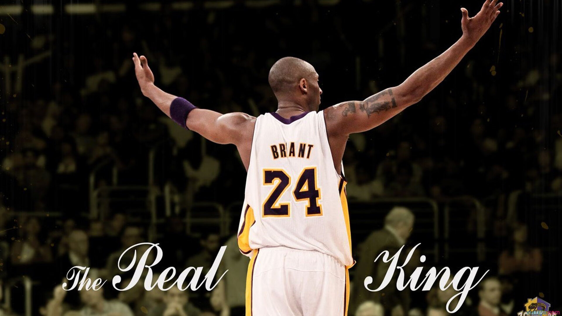 开云·体育官方网站入口-快船与航天公司合作发布球队专属卫星图像，快船签约正式达成